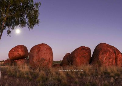 Devils Marbles (1)