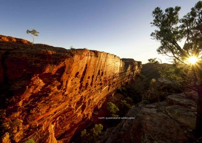 Kings Canyon (5)