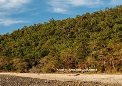 Pelorus-Island-(4)