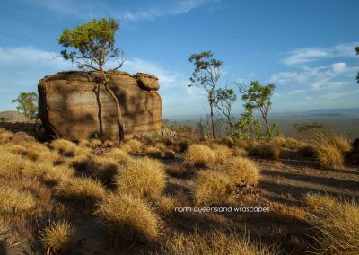 The Spinifex Plateau (3)