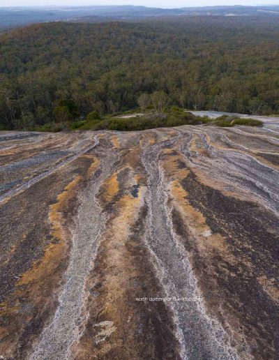 Bald Rock NP (3)