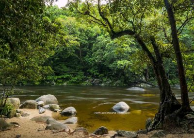 Mossman Gorge Swimming Hole