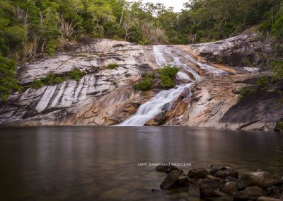 Parrot Falls 3